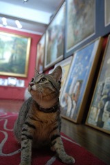 DSC_3113.JPG