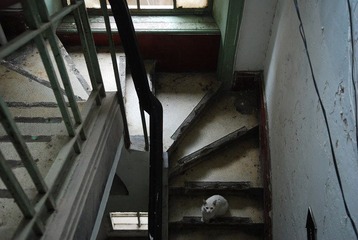 DSC_3219.JPG