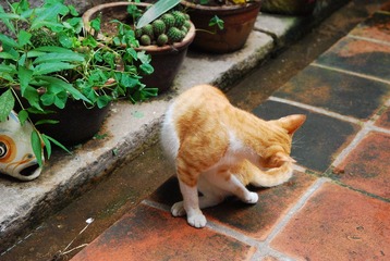 DSC_5407.JPG