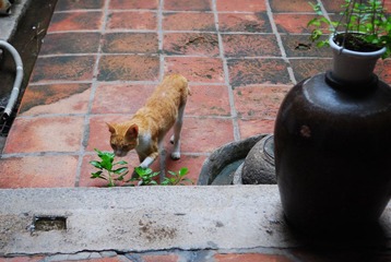 DSC_5400.JPG