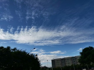 2426630