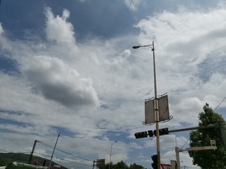 2446784