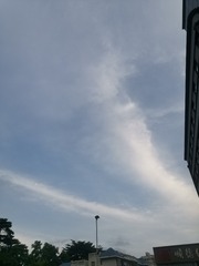 2447582