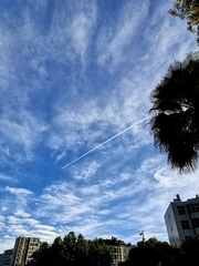 2458539
