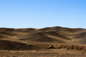 IMG_1016.jpg