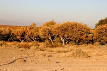 IMG_1075.jpg