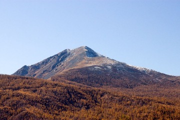 IMG_1202.jpg