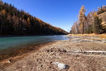 IMG_1264.jpg