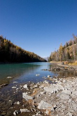 IMG_1272.jpg