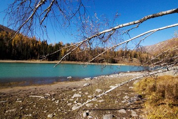 IMG_1289.jpg