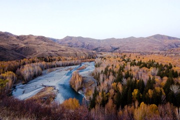 IMG_1329-1.jpg
