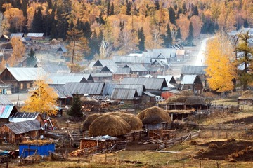 IMG_1368.jpg