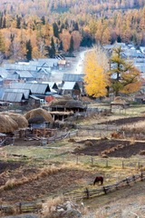 IMG_1371.jpg