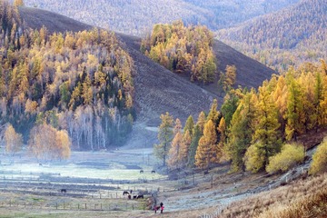 IMG_1401.jpg