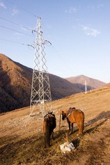 IMG_1773.jpg