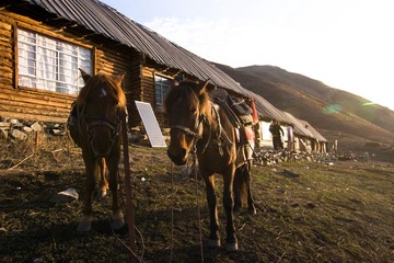 IMG_1776.jpg