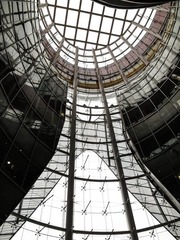 IMG_1125.jpg