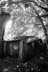 DSC02095.JPG