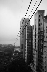 DSC02146_副本.jpg