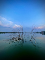 3AA93A61-E8DC-435A-B96F-933B3085BC31/L0/001