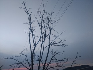 864956
