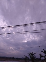 790655