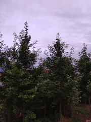 790638