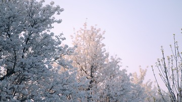 9229E61E-53B1-456D-B458-9A2DB4701555/L0/001