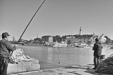 _P2Q6798_
