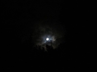 IMG_1407.JPG