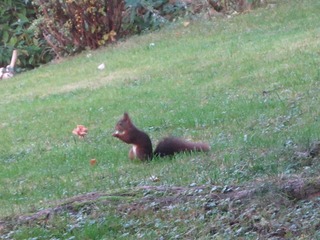 IMG_1982.JPG