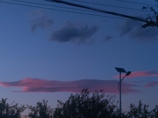 392558