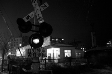 P1222639.jpg