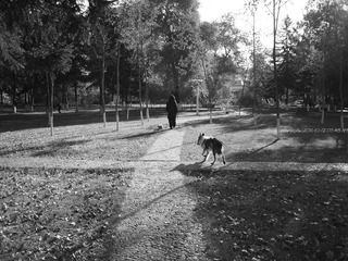 PA120954.jpg