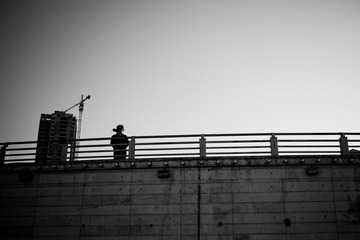 P2042883.jpg