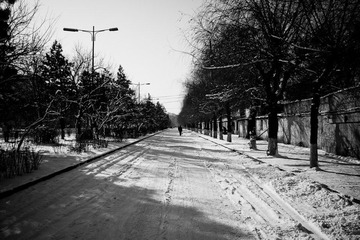 P2072945.jpg