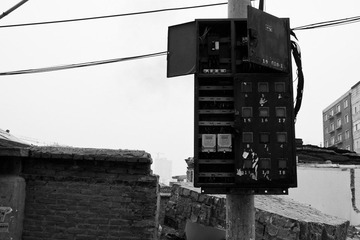 P2293452.jpg