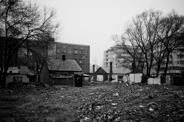 P2293460.jpg