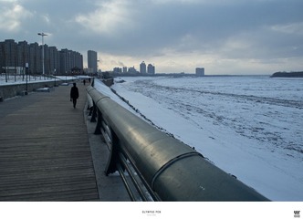 P3143855.jpg