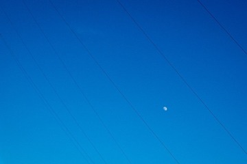 P2042912.jpg