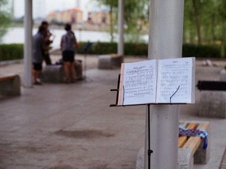 P1017704.jpg