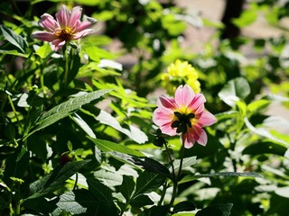 P9309344.jpg