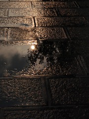 1000029346