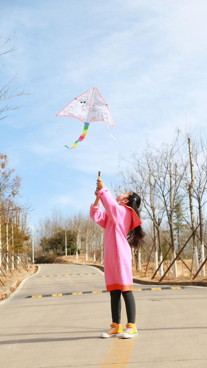 放风筝的孩子们