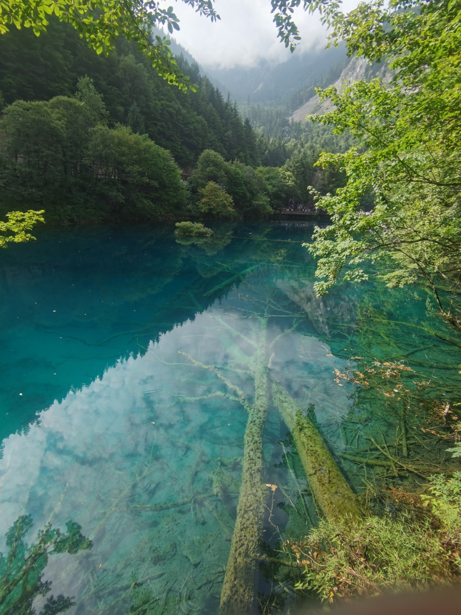 四川九寨沟绝美风景晴天看水