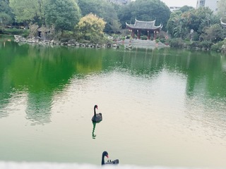 F02C5E95-5E94-412D-88E0-A43DD0267ABD/L0/001