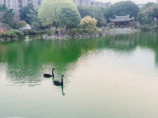 A1A6FA5E-A108-4A6F-8327-093F00655B42/L0/001