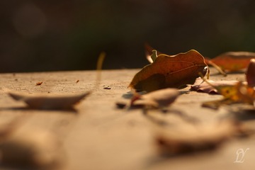 543632