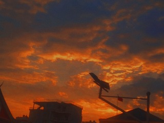 164116