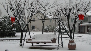 2010年的第一场大雪 004